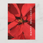 Prettige feestdagen Poinsettia Briefkaart (Voorkant)