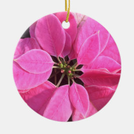 prettige feestdagen Poinsettia Keramisch Ornament