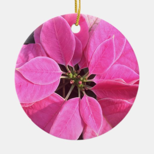 prettige feestdagen Poinsettia Keramisch Ornament (Voorkant)