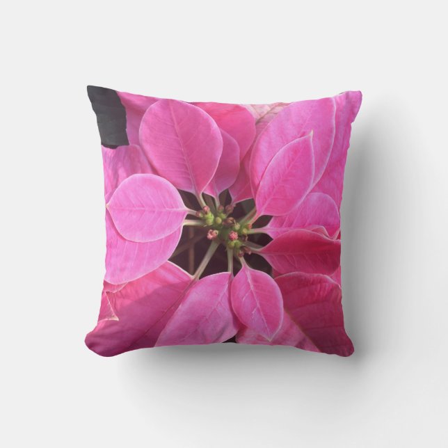 prettige feestdagen Poinsettia Kussen (Voorkant)