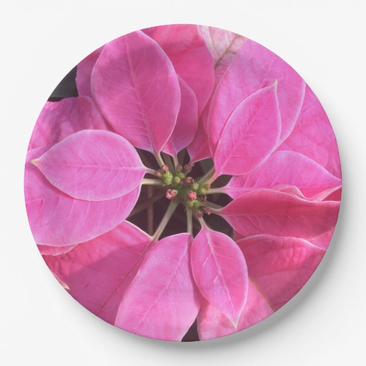 prettige feestdagen Poinsettia Papieren Bordje (Voorkant)