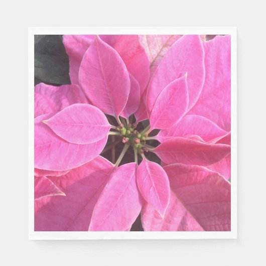 prettige feestdagen Poinsettia Servet (Voorkant)