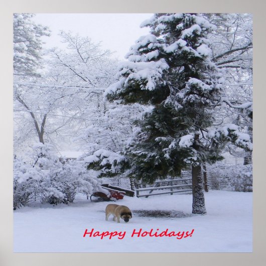 prettige feestdagen..... poster (Voorkant)