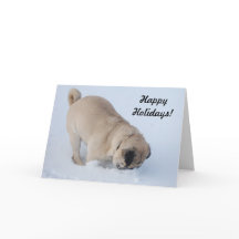 Prettige feestdagen Pug graven in de sneeuw