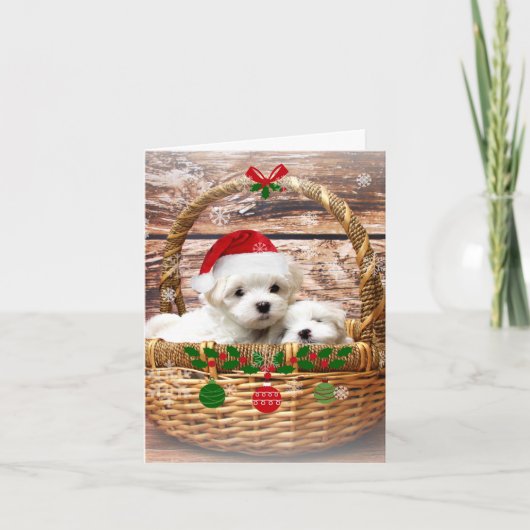 Prettige feestdagen Schattige Maltese Puppies (Voorkant)