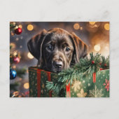 Prettige feestdagen Schattigee Chocolate Lab Puppy (Voorkant)
