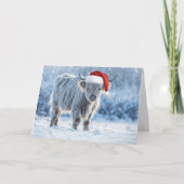 Prettige feestdagen Schattigeste Highland Calf in  Kaart (Voorkant)