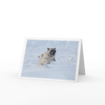 prettige feestdagen Spelen in de sneeuwkerst