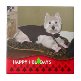 Prettige feestdagen Tegel Voeg huisdieren toe Foto Tegeltje