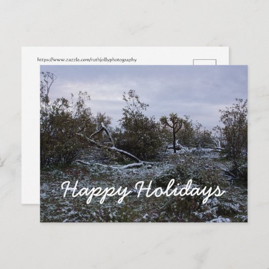 Prettige feestdagen uit de woestijn (Voorkant / Achterkant)