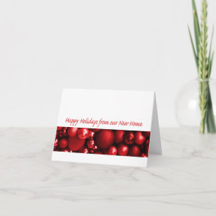 prettige feestdagen van ons nieuwe thuis