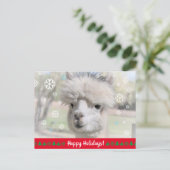 prettige feestdagen van Snow Alpaca Briefkaart (Staand voorkant)