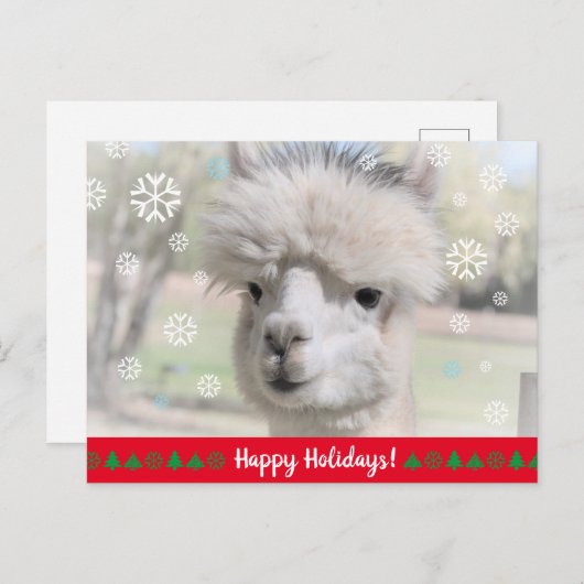prettige feestdagen van Snow Alpaca Briefkaart (Voorkant / Achterkant)