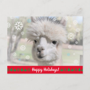prettige feestdagen van Snow Alpaca Briefkaart
