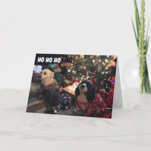 prettige feestdagen **** VAN VROLIJKE PUPPIES Kaart