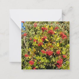 Prettige Feestdagen vanuit Californië! Notitiekaartje