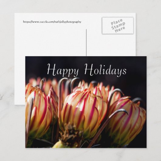 Prettige feestdagen Woestijnvakantie in Bloom, (Voorkant / Achterkant)