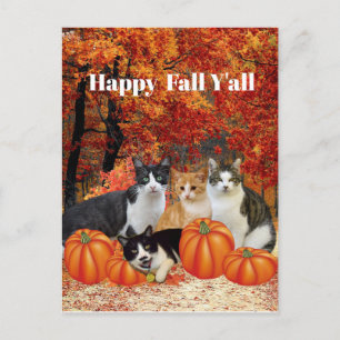 Prettige Herfst Mensen Katten en Pompoenen Ansicht Briefkaart