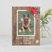 Prettige Howliday-hond foto (Staand voorkant)