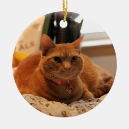 Prettige kat keramisch ornament (Voorkant)
