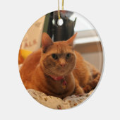 Prettige kat keramisch ornament (Links)