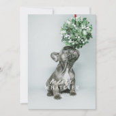 Prettige Kerstkaart met Dwaas Huisdier Foto Kaart (Voorkant)