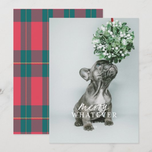 Prettige Kerstkaart met Dwaas Huisdier Foto Kaart (Voorkant / Achterkant)