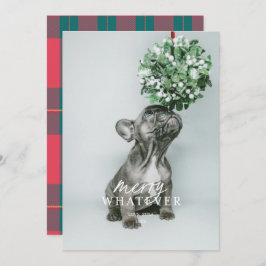 Prettige Kerstkaart met Dwaas Huisdier Foto Kaart