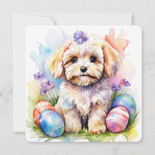 Prettige Pasen kaart Cute Maltipoo Watercolor Hond
