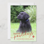 Prettige Pawlidays Hond Foto Modern Kerstmis Huisd Feestdagenkaart (Voorkant)