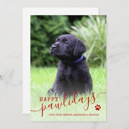 Prettige Pawlidays Hond Foto Modern Kerstmis Huisd Feestdagenkaart (Voorkant / Achterkant)