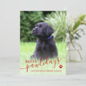 Prettige Pawlidays Hond Foto Modern Kerstmis Huisd Feestdagenkaart (Staand voorkant)