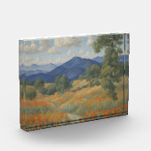 prettige plek fotoblokken (Links)