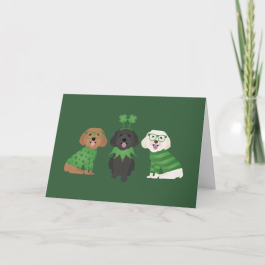 Prettige St. Patrick's Dag Maltipoo Honden Feestdagen Kaart (Voorkant)