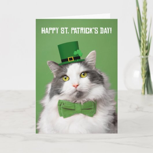 Prettige St. Patrick's Dag Mooie Kitten in het Gro Feestdagen Kaart (Voorkant)