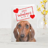 Prettige Valentijnsdag | Lieve dachshondpuppy Kaart (Gele Bloem)