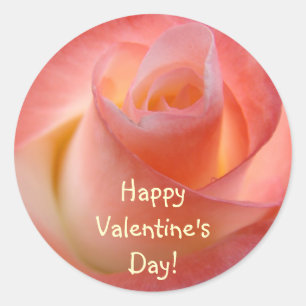Prettige Valentijnsdag! stickers Roze Roos Bloem