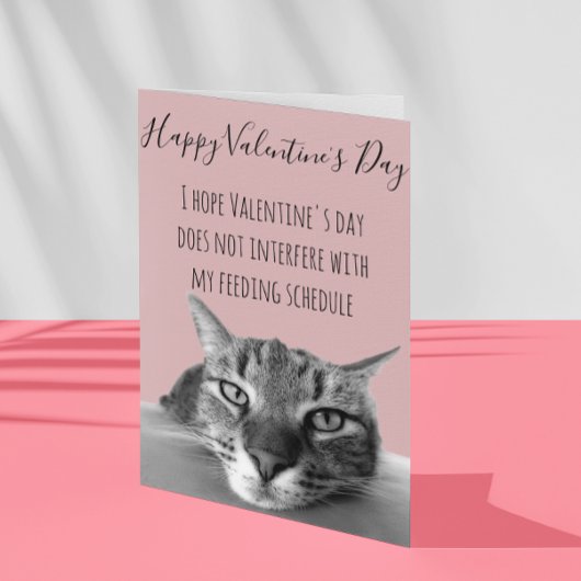 Prettige Valentijnsdag van Kat naar Mens Humor Kaart