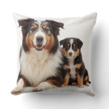 Pretty Australian Shepherd Mother and Daughter