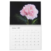 Pretty Awesome Peonies Kalender (Jan 2027)