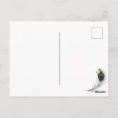 Pretty Blue and Gold Peacock Keeping in Touch Briefkaart (Achterkant)