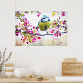 Pretty Blue & Yellow Bird on a Branch Photograph Poster (Keuken)