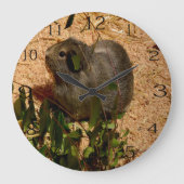 Pretty Brown Coloured Guinea Pig, Grote Klok (Voorkant)