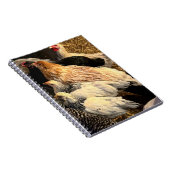 Pretty  Chickens Notebook Notitieboek (Rechterzijde)