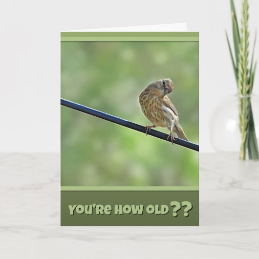 Pretty Cute for An Old Bird Birthday Card Kaart (Voorkant)