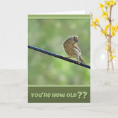 Pretty Cute for An Old Bird Birthday Card Kaart (Gele Bloem)