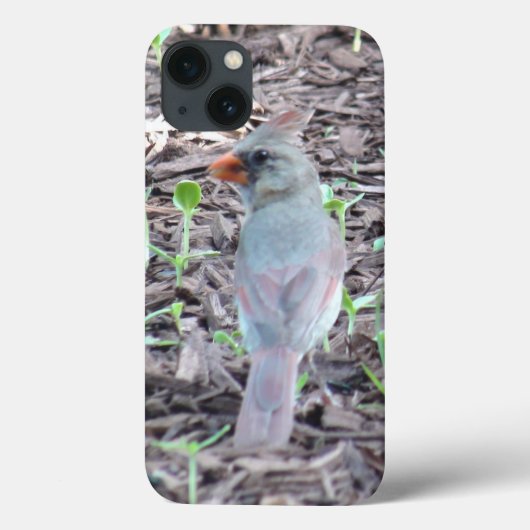 Pretty Female Cardinal Cell Phone Case (Achterkant)