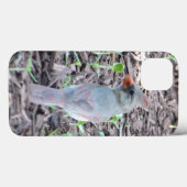 Pretty Female Cardinal Cell Phone Case (Achterkant (horizontaal))