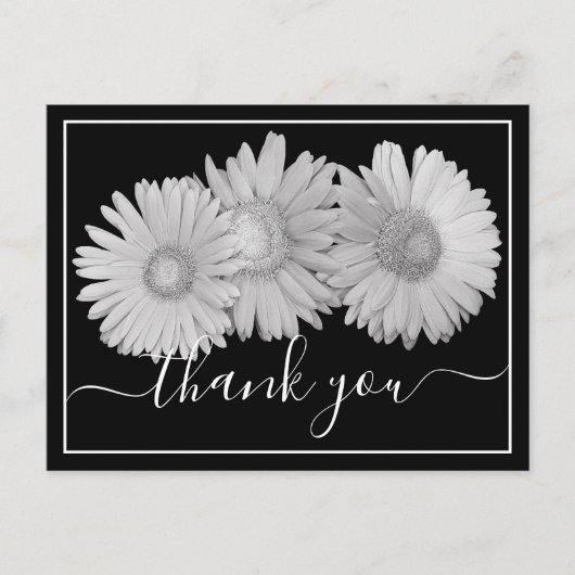 Pretty Gerbera Daisies Botanical Colorful Floral Briefkaart (Voorkant)