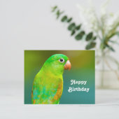 Pretty Green Papegaai Foto Verjaardag Briefkaart (Staand voorkant)